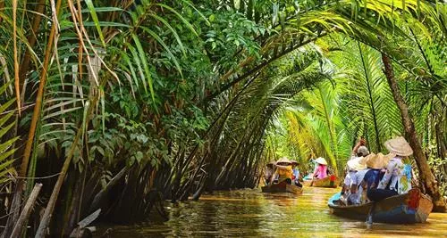 Mekong Delta One - Day Tour From Mui Ne
